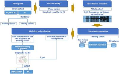 Using sustained vowels to identify patients with mild Parkinson’s disease in a Chinese dataset